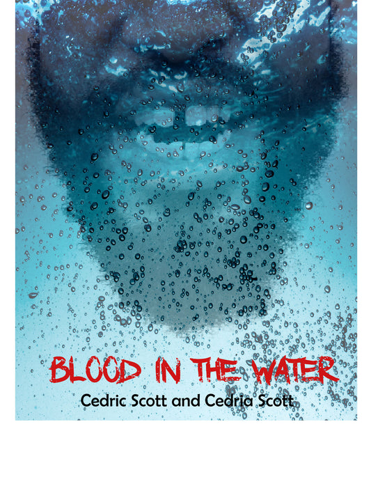 Blood in the Water (poetry, ebook) - EDU HUSTLE